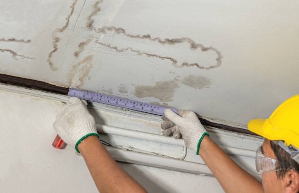 Reliable Water Damage contractor in New Castle, KY by Water Damage Irwin